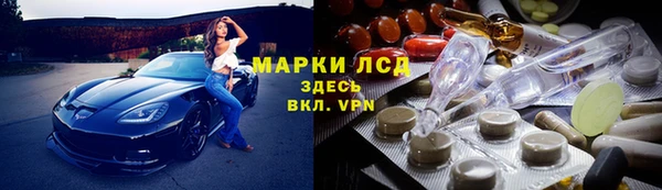 сатива Абинск